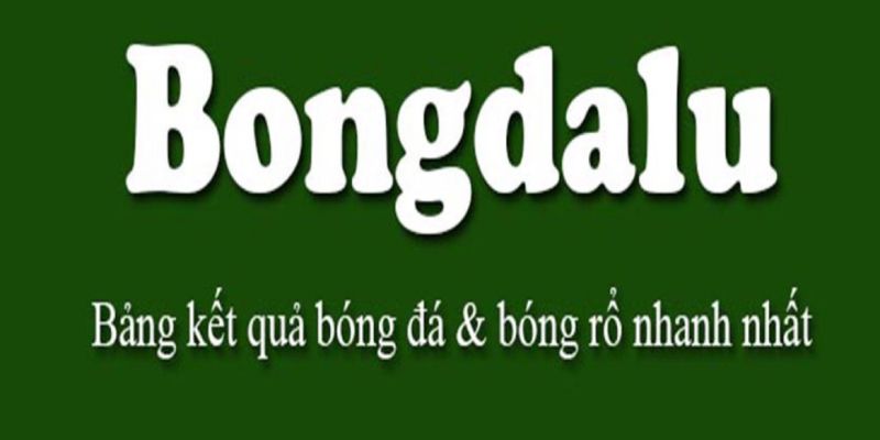 Review trang web nhận định Bongdalu