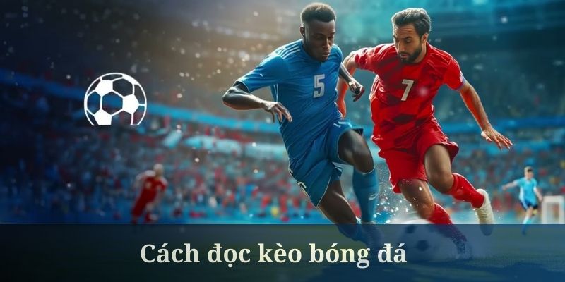 Cách đọc kèo bóng đá