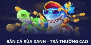 Bắn Cá Rùa Xanh – Trò Chơi Giải Trí Đỉnh Cao Tại DEBET